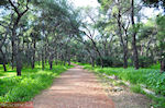 Wandelpad Philopapou heuvel - Foto van De Griekse Gids