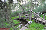 GriechenlandWeb Houten brug aan de helling van Philopapou-heuvel - Foto GriechenlandWeb.de