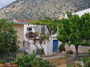 Kretenzich dorpje Agia - Foto van https://www.grieksegids.nl/fotos/grieksegidsinfo-fotos/albums/userpics/10001/normal_agia-bij-melidoni.jpg