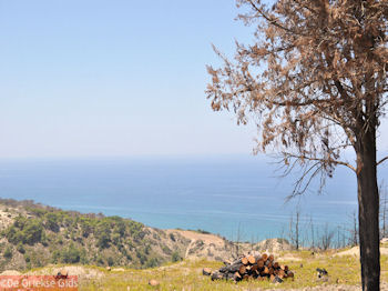 De zee vanaf een heuvel bij Kamiros (Rhodos) - Foto van https://www.grieksegids.nl/fotos/grieksegidsinfo-fotos/albums/userpics/10001/normal_kamiros-rhodos-06.jpg