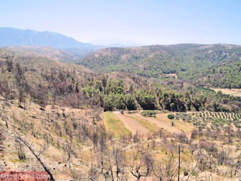 De omgeving rond Kamiros (Rhodos) - Foto van https://www.grieksegids.nl/fotos/grieksegidsinfo-fotos/albums/userpics/10001/normal_kamiros-rhodos-07.jpg