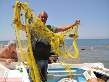 Vis gevangen bij Taverna OI DIDIMOI nabij Kamiros - Foto van https://www.grieksegids.nl/fotos/grieksegidsinfo-fotos/albums/userpics/10001/normal_kamiros-rhodos-16.jpg