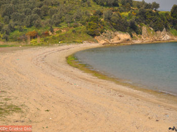 Strand bij Orei | Evia Griekenland - Foto van https://www.grieksegids.nl/fotos/grieksegidsinfo-fotos/albums/userpics/10001/normal_strand-orei-noord-evia.jpg