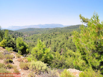 Bossen in centraal Rhodos - Foto van https://www.grieksegids.nl/fotos/grieksegidsinfo-fotos/albums/userpics/10001/normal_vlindervallei-rhodos-01.jpg