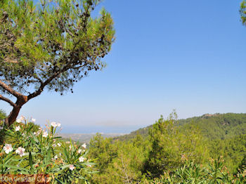 Bosrijke omgeving Rhodos (bij Vlindervallei) - Foto van https://www.grieksegids.nl/fotos/grieksegidsinfo-fotos/albums/userpics/10001/normal_vlindervallei-rhodos-04.jpg