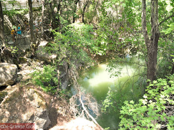 Vlindervallei Rhodos - Petaloudes - Foto van https://www.grieksegids.nl/fotos/grieksegidsinfo-fotos/albums/userpics/10001/normal_vlindervallei-rhodos-07.jpg