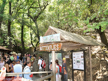 Valley of Butterflies - Eiland Rhodos - Foto van https://www.grieksegids.nl/fotos/grieksegidsinfo-fotos/albums/userpics/10001/normal_vlindervallei-rhodos-10.jpg