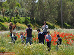 GriechenlandWeb 1 mei auf Kreta - Foto GriechenlandWeb.de