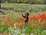 GriechenlandWeb.de 1 mei: een bloemetje voor oma - Foto GriechenlandWeb.de