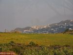 GriechenlandWeb Agia Pelagia Heraklion Kreta - Foto GriechenlandWeb.de
