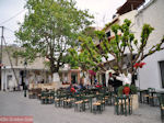 GriechenlandWeb Taverna's, cafe's und restaurants in Anogia (Rethymnon Kreta) - Foto GriechenlandWeb.de