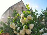 Klooster Arkadi Rethymnon - Foto van De Griekse Gids