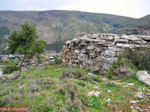 GriechenlandWeb Drakospita (Drakenhuizen) Zuid Evia. Nabij Marmari Evia und Karystos. - Foto GriechenlandWeb.de