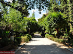 Het gemeentelijke park van Rethymnon - Foto GriechenlandWeb.de