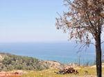 De zee vanaf een heuvel bij Kamiros (Rhodos) - Foto van De Griekse Gids