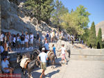 Ezels op de heuvel van Lindos (Rhodos) - Foto van De Griekse Gids