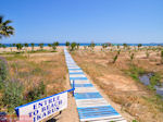 Naar het strand van Rethymnon - Foto van De Griekse Gids