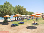 Parasols aan strand Doreta Beach - Eiland Rhodos - Foto van De Griekse Gids
