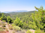 Bossen in centraal Rhodos - Foto van De Griekse Gids