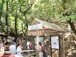 Valley of Butterflies - Eiland Rhodos - Foto van De Griekse Gids