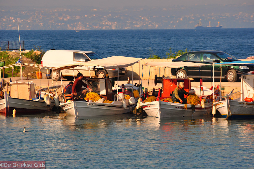 foto Vissersbootjes Eretria | Evia Griekenland