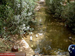 GriechenlandWeb Fodele Heraklion Kreta - Foto GriechenlandWeb.de