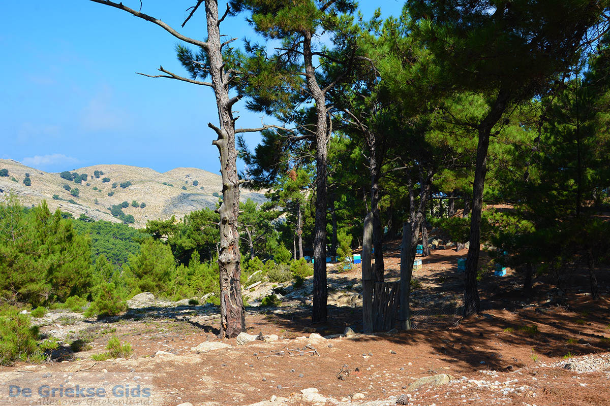 foto Berggebied Raches Ikaria | Griekenland | Foto 26