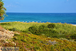 Strand Mesakti Armenistis Ikaria | Griekenland | Foto 29 - Foto van De Griekse Gids