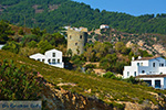 GriechenlandWeb.de Armenistis Ikaria - Foto GriechenlandWeb.de