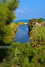 GriechenlandWeb Gialiskari Ikaria - Foto GriechenlandWeb.de