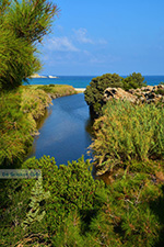 GriechenlandWeb.de Bij Mesakti Armenistis Ikaria | Gialiskari Ikaria | Foto 5 - Foto GriechenlandWeb.de