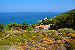 GriechenlandWeb.de Avlaki Ikaria | Griechenland | Foto 3 - Foto GriechenlandWeb.de