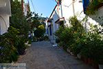 GriechenlandWeb Evdilos Ikaria | Griechenland | Foto 43 - Foto GriechenlandWeb.de