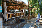 GriechenlandWeb.de Nas Ikaria | Griechenland | Foto 2 - Foto GriechenlandWeb.de
