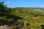 Berggebied Raches Ikaria | Griekenland | Foto 2 - Foto van De Griekse Gids