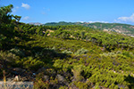 Berggebied Raches Ikaria | Griechenland | Foto 2 - Foto GriechenlandWeb.de