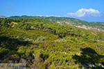 Berggebied Raches Ikaria | Griechenland | Foto 3 - Foto GriechenlandWeb.de