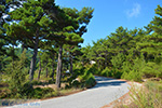 Berggebied Raches Ikaria | Griekenland | Foto 21 - Foto van De Griekse Gids