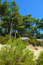 Berggebied Raches Ikaria | Griekenland | Foto 27 - Foto van De Griekse Gids