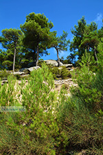 GriechenlandWeb Berggebied Raches Ikaria | Griechenland | Foto 29 - Foto GriechenlandWeb.de