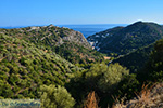 Therma ikaria | Griekenland Foto 2 - Foto van De Griekse Gids