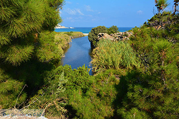 Bij Mesakti Armenistis Ikaria | Gialiskari Ikaria | Foto 1 - Foto von GriechenlandWeb.de