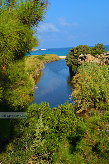 Bij Mesakti Armenistis Ikaria | Gialiskari Ikaria | Foto 4 - Foto van https://www.grieksegids.nl/fotos/ikaria/normaal/armenistis-ikaria-048.jpg