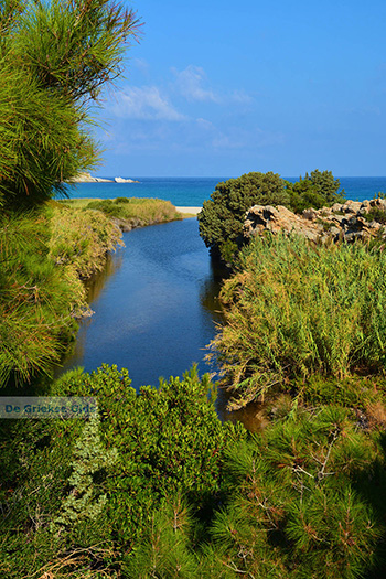 Bij Mesakti Armenistis Ikaria | Gialiskari Ikaria | Foto 5 - Foto van https://www.grieksegids.nl/fotos/ikaria/normaal/armenistis-ikaria-049.jpg