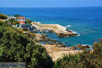 Avlaki Ikaria | Griechenland | Foto 6 - Foto von GriechenlandWeb.de