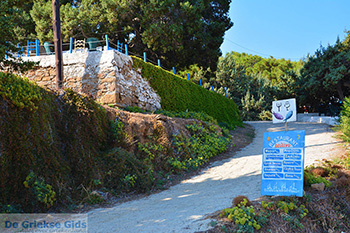 Gialiskari Ikaria | Griekenland | Foto 17 - Foto van https://www.grieksegids.nl/fotos/ikaria/normaal/gialiskari-ikaria-017.jpg