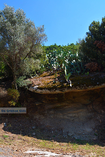 Moni Theoktistis bij Kampos Ikaria | Avlaki Ikaria Foto 1 - Foto van https://www.grieksegids.nl/fotos/ikaria/normaal/moni-theoktistis-ikaria-001.jpg