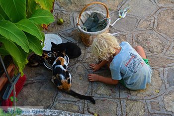 Moni Theoktistis bij Kampos Ikaria | Avlaki Ikaria Foto 22 - Foto van https://www.grieksegids.nl/fotos/ikaria/normaal/moni-theoktistis-ikaria-022.jpg