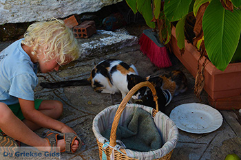 Moni Theoktistis bij Kampos Ikaria | Avlaki Ikaria Foto 23 - Foto van https://www.grieksegids.nl/fotos/ikaria/normaal/moni-theoktistis-ikaria-023.jpg