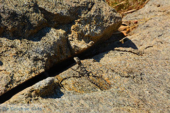 Nas Ikaria | Griekenland | Foto 7 - Foto van https://www.grieksegids.nl/fotos/ikaria/normaal/nas-ikaria-007.jpg